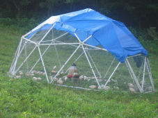 Geodesic Greenhouse